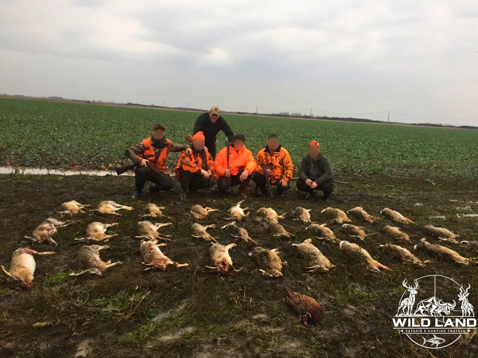 Roumanie - séjour de chasse Wild Land