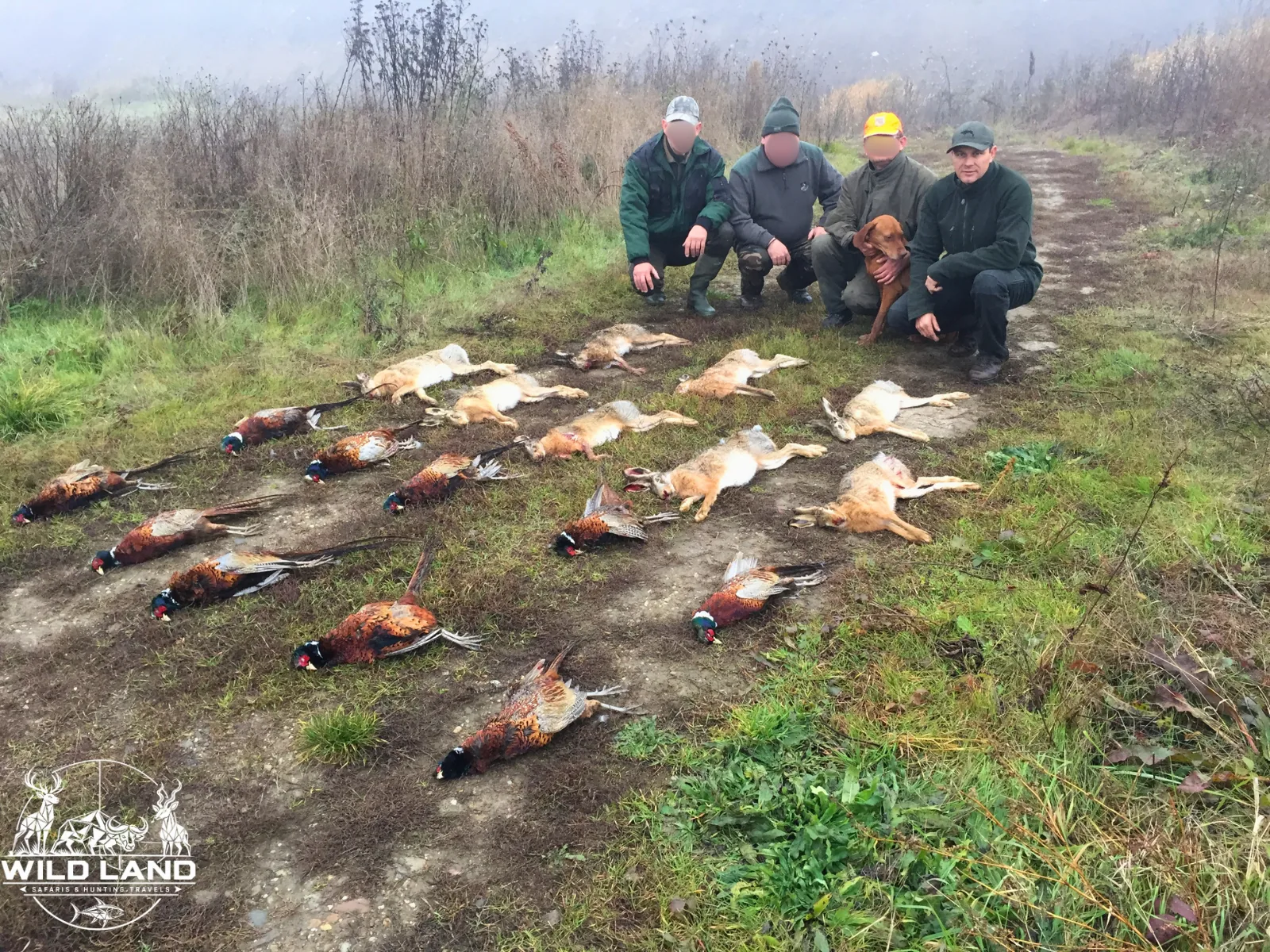 Roumanie - séjour de chasse Wild Land