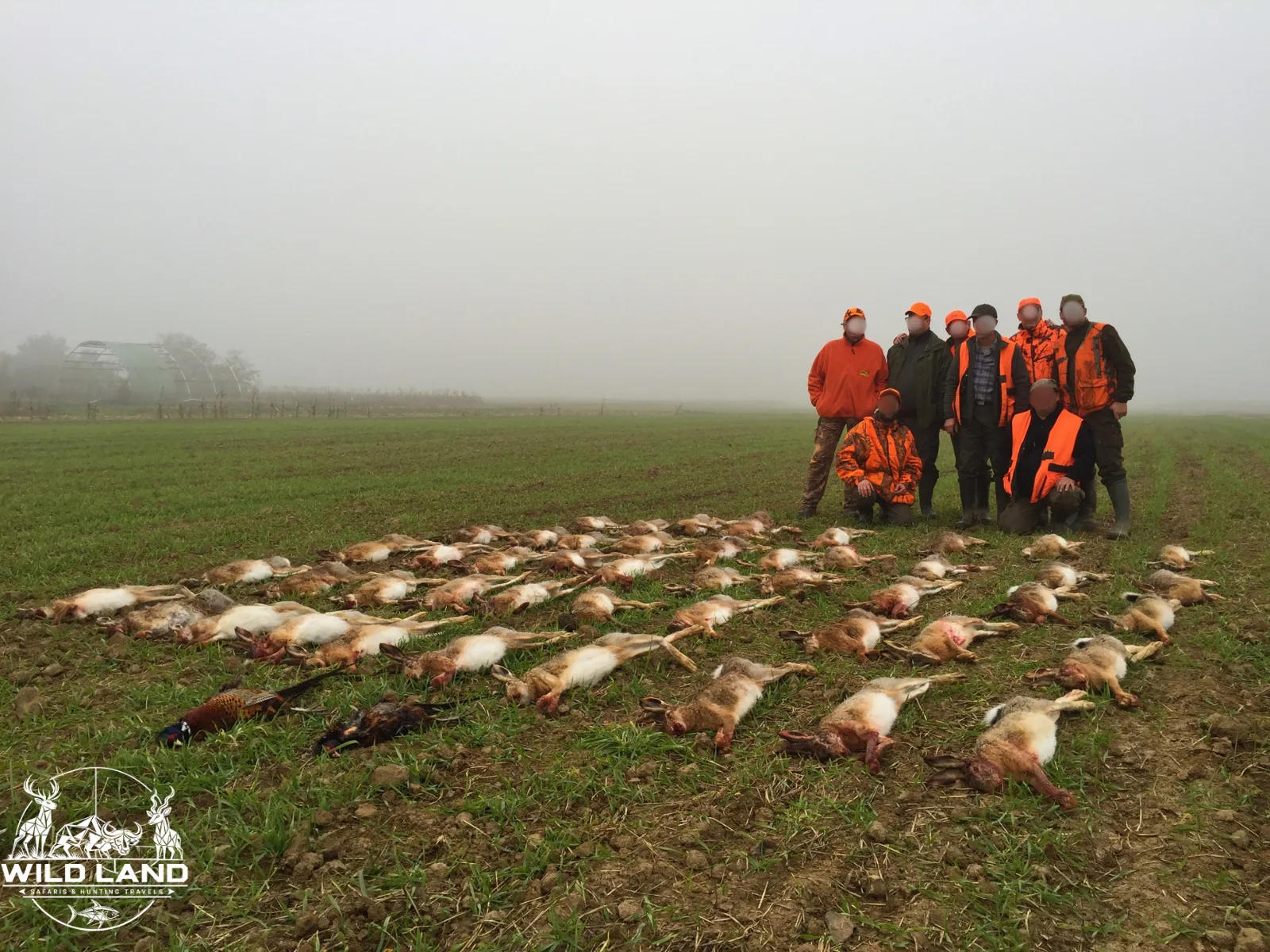 Roumanie - séjour de chasse Wild Land