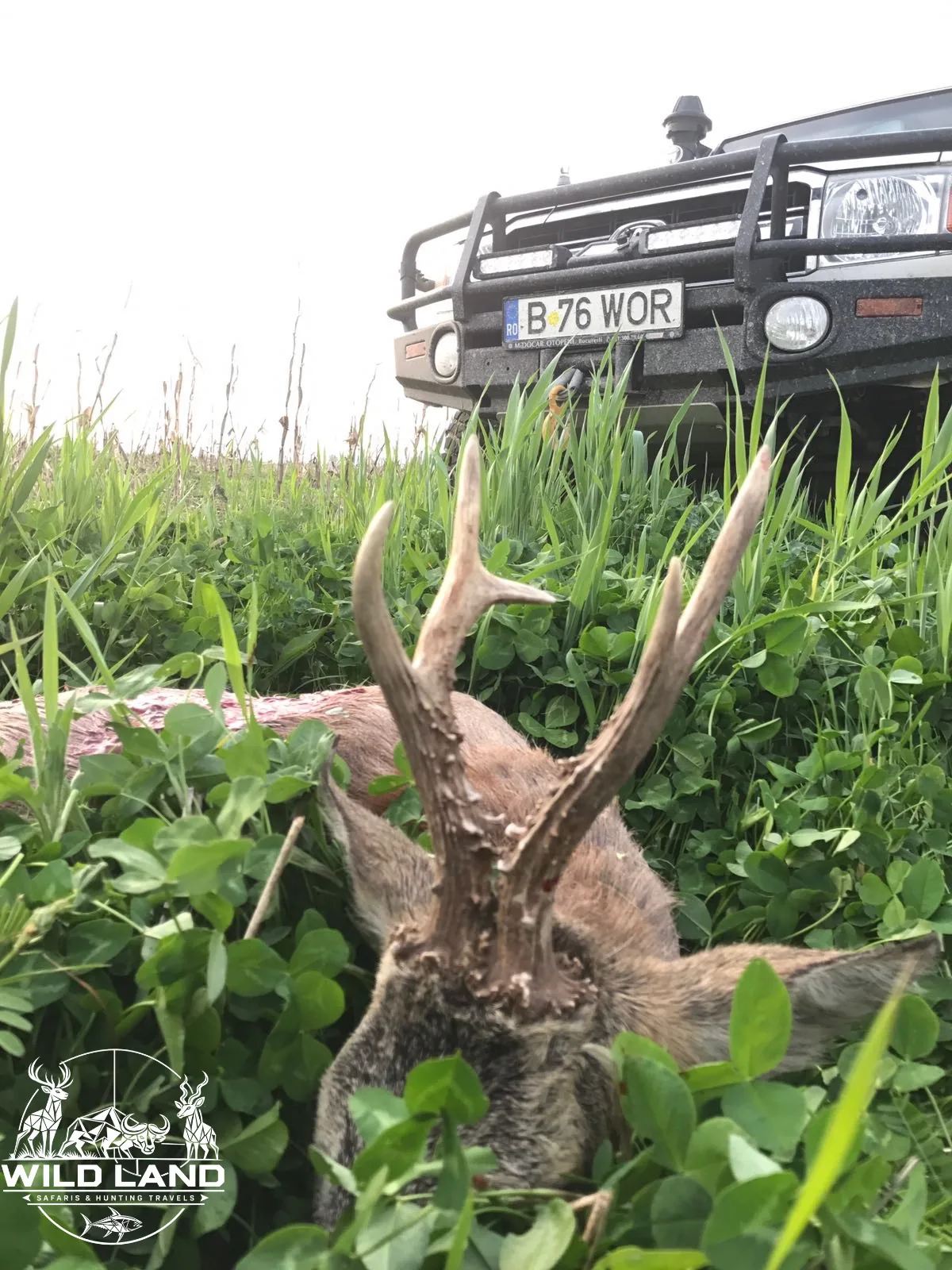 Roumanie - séjour de chasse Wild Land