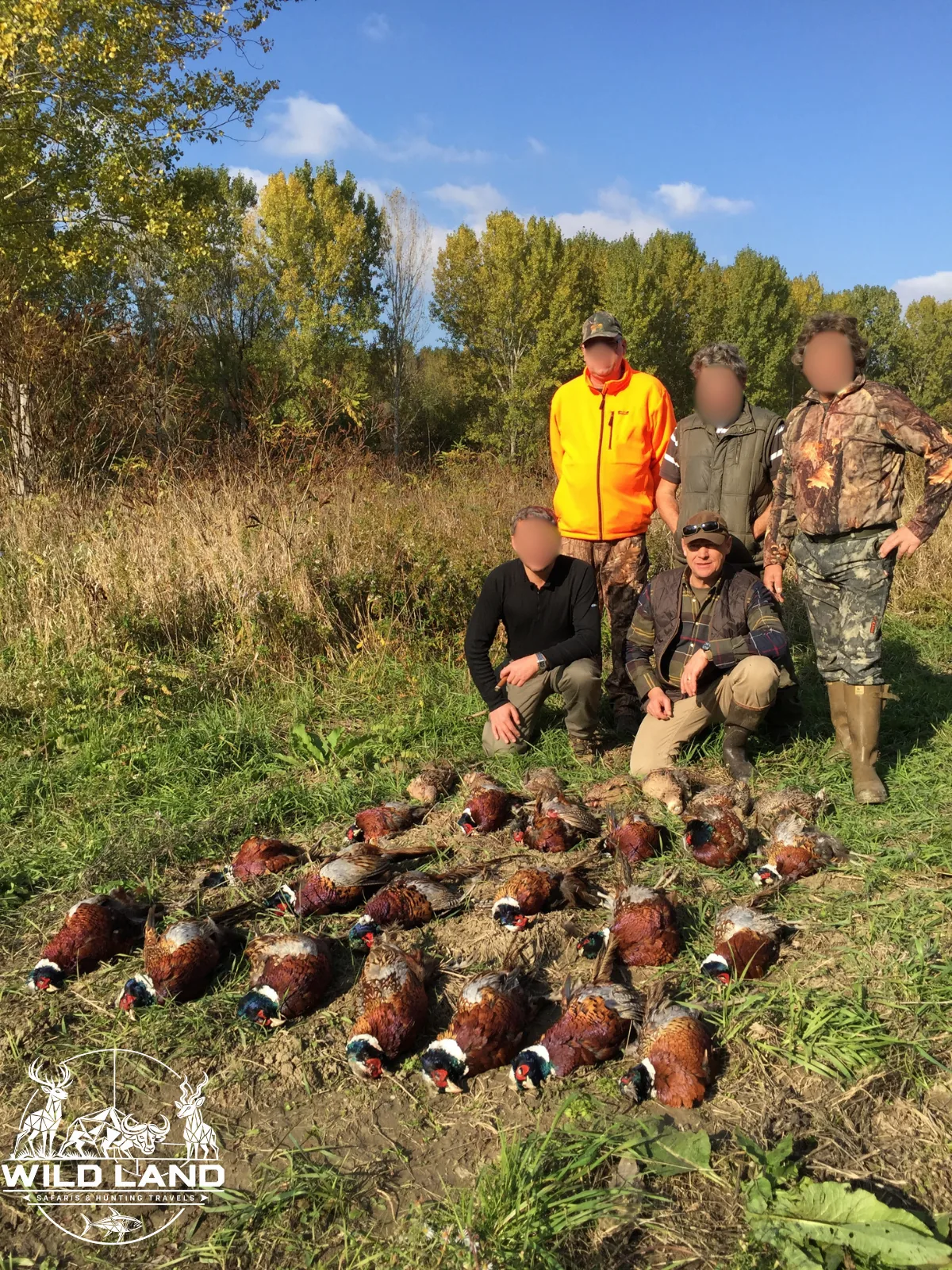 Roumanie - séjour de chasse Wild Land