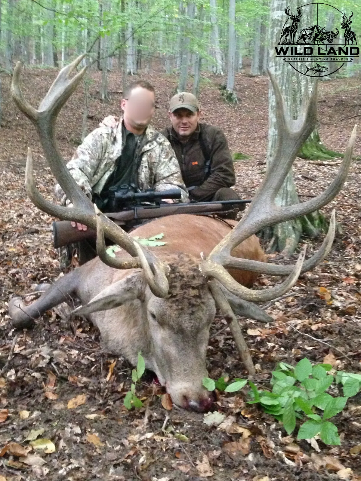 Roumanie - séjour de chasse Wild Land