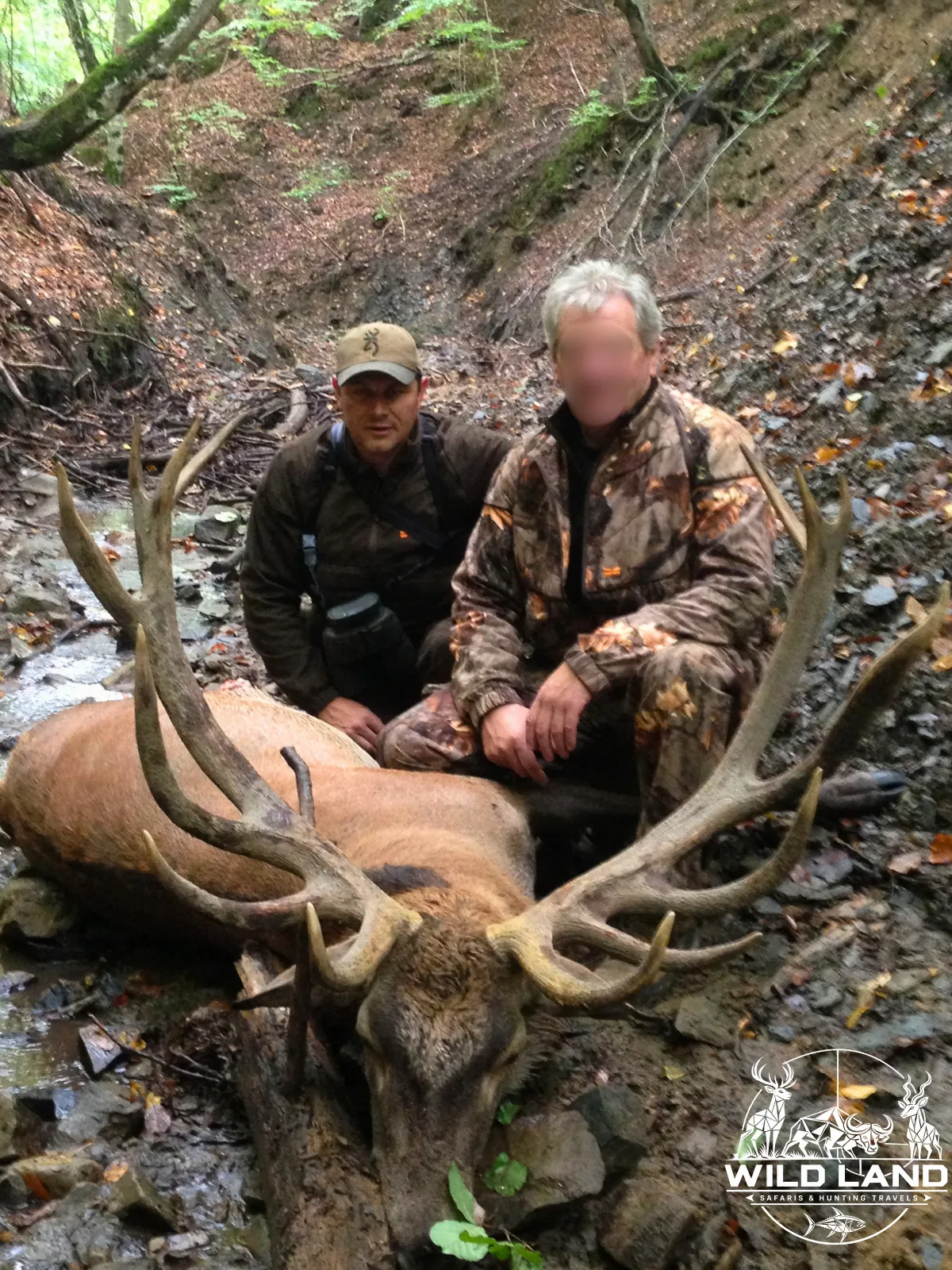 Roumanie - séjour de chasse Wild Land
